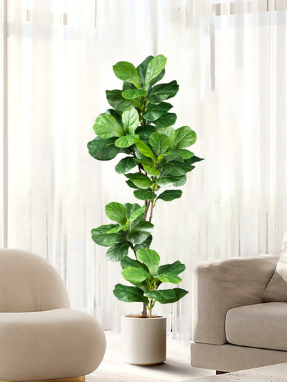 Kagu | Artificial Ficus tree