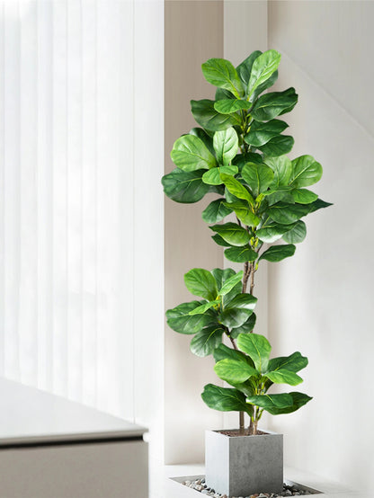 Kagu | Artificial Ficus tree