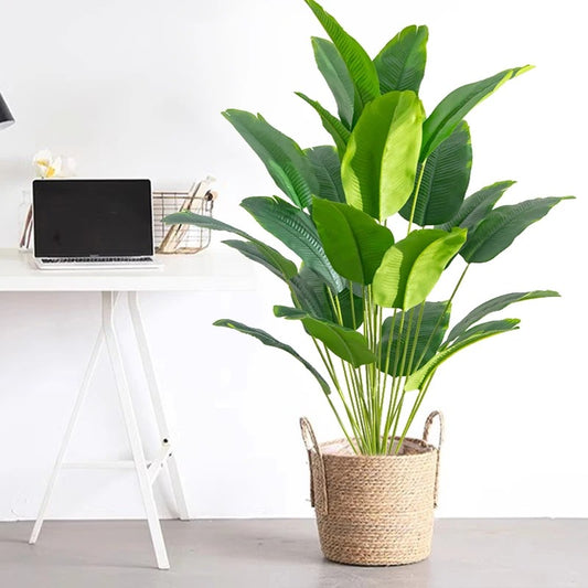 Kagu | Fake Tropical Banana Leaf Plant
